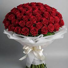 Букет 101 Красная роза Блэк Мэджик в Яшкуле