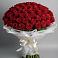 Букет 101 Красная роза Блэк Мэджик в Яшкуле