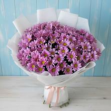 Букет цветов из:  Хризантемы в Яшкуле