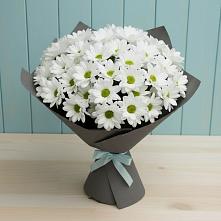 Букет цветов из:  Хризантемы в Яшкуле