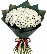 Букет цветов из:  Хризантемы в Яшкуле