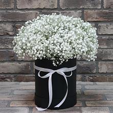 Цветочная композиция из Гипсофила в шляпной коробке #REPLACE_PRED# Яшкуле